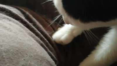 Arwen kneading with heart&soul