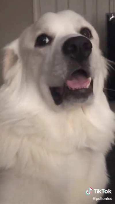 Serotonin time with Coconut