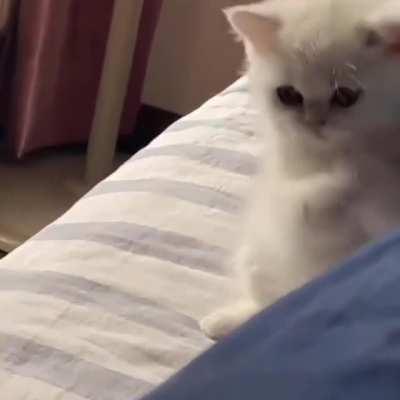 Call for Backup! The criminal is fighting back!