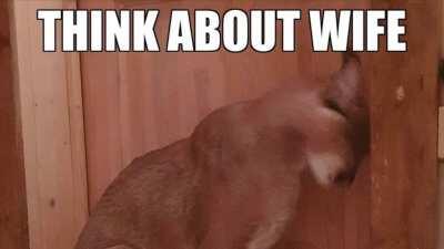 couldn’t sleep so I made this