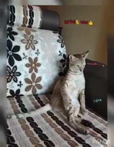 Connoisseur of Carnatic Music!