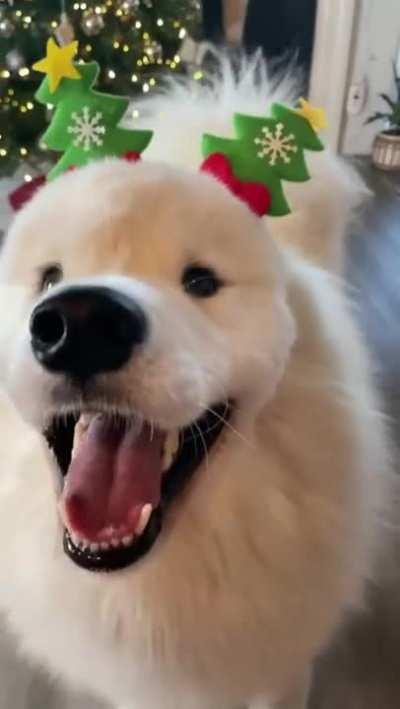 Merry Christmas is fast approaching!