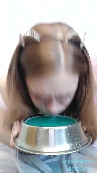 Drink my vomit from bowl