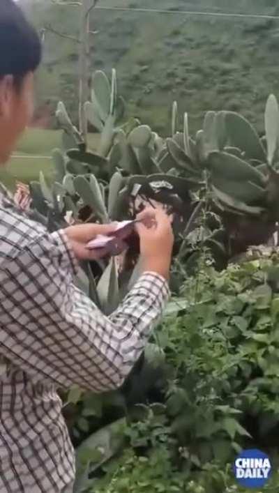 Interviewer: so, what skills do you have?