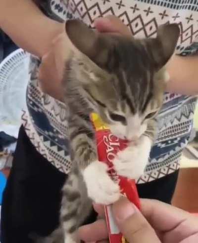 don't touch my candy!!!