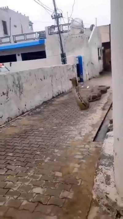 Me chasing my rentoid for late on mandatory tips!