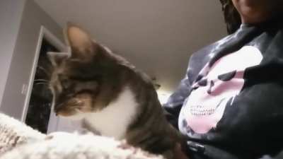 Panini didn't want to get up 🤣