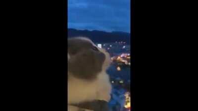 Me looking at Galactus, wondering why people ask Who is Galactus and not How is Galactus