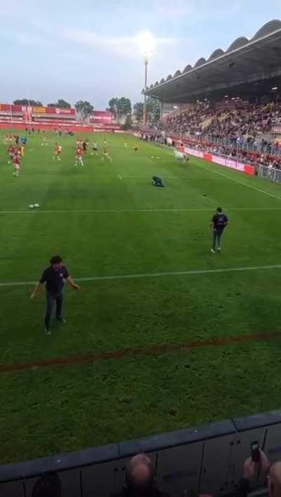 Bringing a bull to a football match