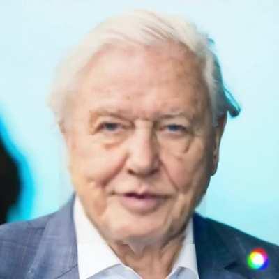 David Gives Reasons To Keep Going