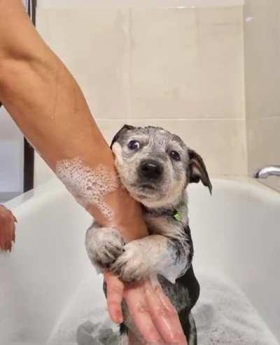 His first bath