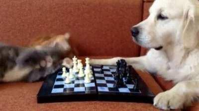 surprising move from the referee