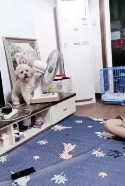 Manual oscillation 😂