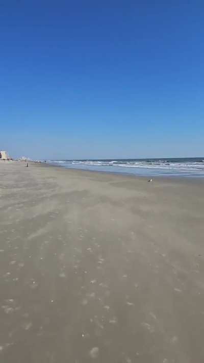 Beach riding at low tide is absolute top tier. Hit 50mph on the V14 first the first time and didn't even realize until I checked the app. Backwinds are 👌