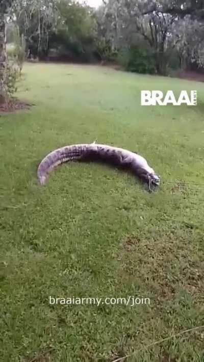 Did anyone else grow up this irrational fear? Welph... it's true.