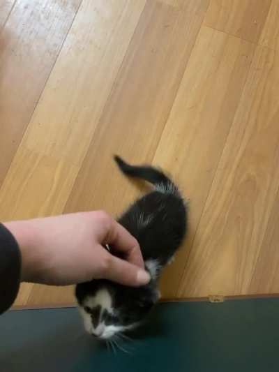 Was told y’all might like Rorschach and his... opinions.