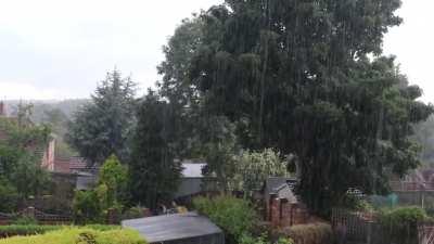 My view for the past two weeks