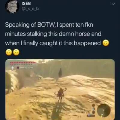 That horse really does not want to get tamed