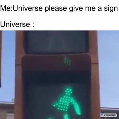 Me when GME goes back to 250