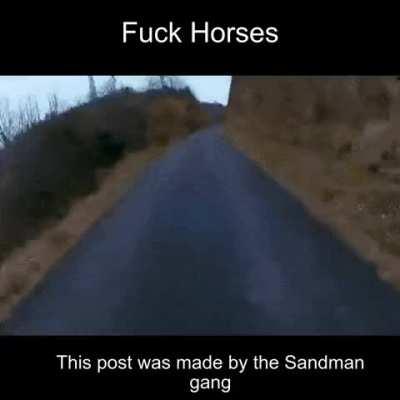 Called Steel Ball RUN for a reason