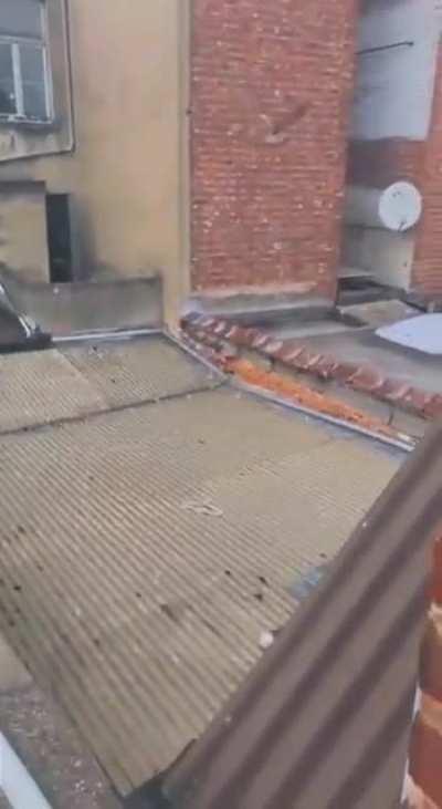 peace was never an option