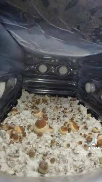 Thought yall would appreciate this. (not oc)