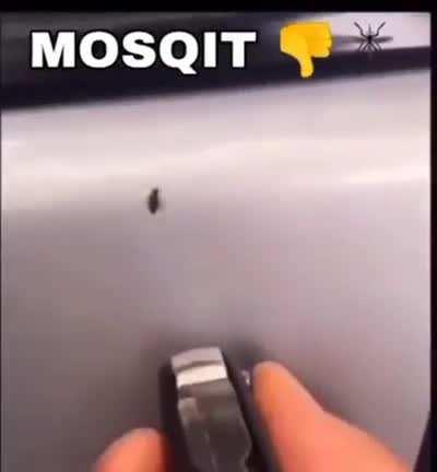 Me and the boys during summer