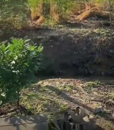 Not entirely sure if this belongs here