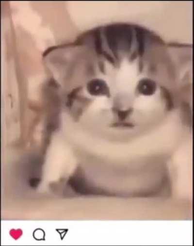 sensitive content this video may contain graphic or violent content