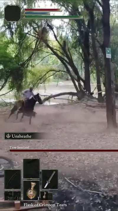 meanwhile, in the lands between of chile