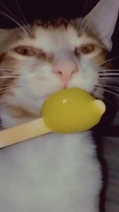 Feeling sad? Here's Jack destroying a mango popsicle 