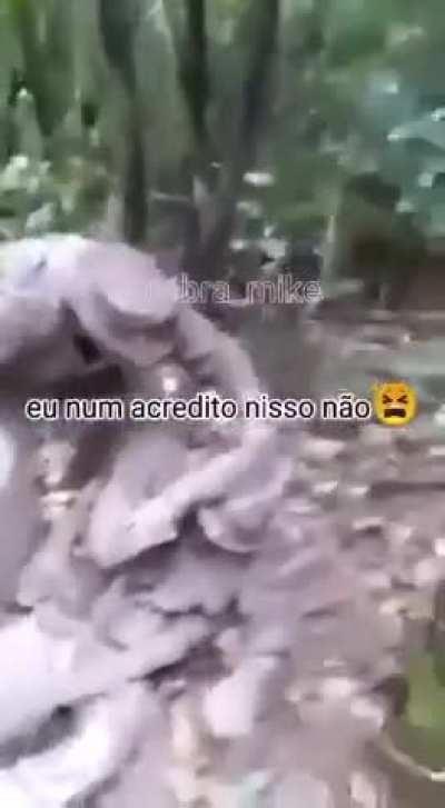 How would your nation's military perform in the special region?