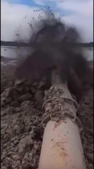 Gotta love those taco bell nights!