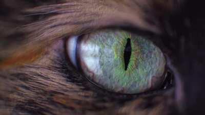 waking up (low dose visuals)