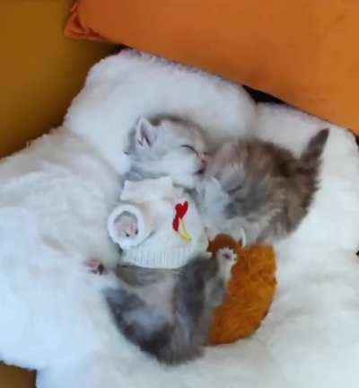 This is the cutest video ever😍