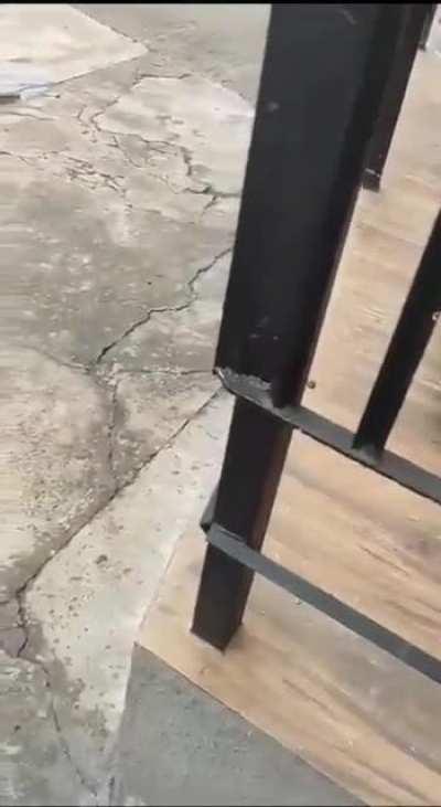 Jiu-jitsu fighter ends up with thief