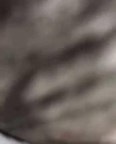 Trying to reach the last chip in the can like...