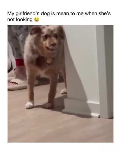 He knows something, just cant prove it yet