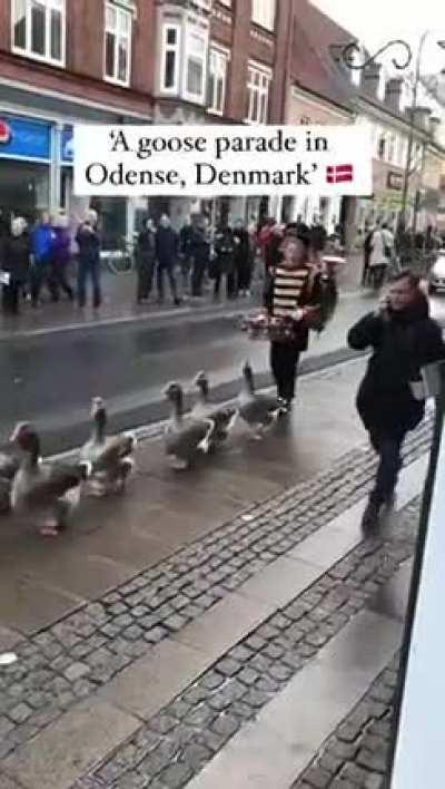 Have a gander at this 👀