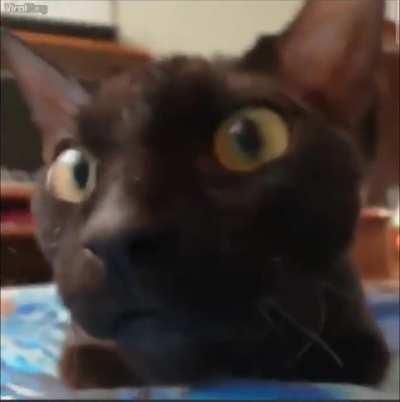 Black void stares deeply into your soul