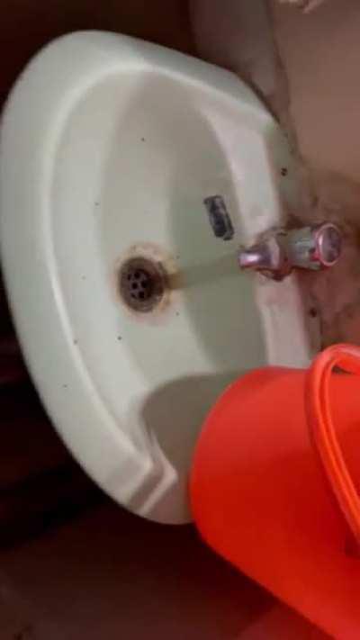 Сюрпрайз, мазафака!