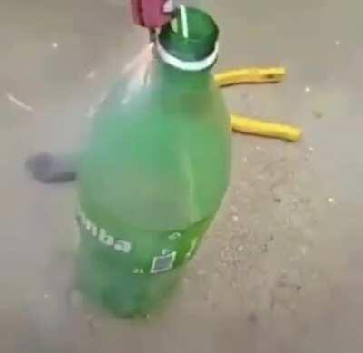 Mano ser não e os ratos ser matando e um humano lanchando um deles para a lua