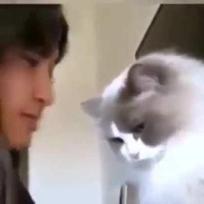 ops sorry, I have no morale