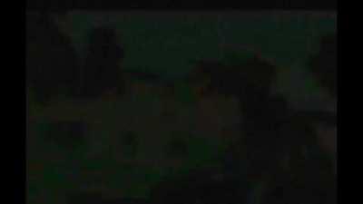 skør kian / gilli frog