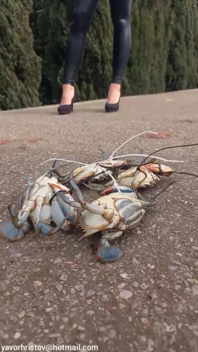 Girl crush in high heels