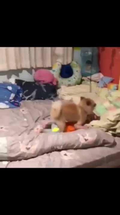 The women at the end though