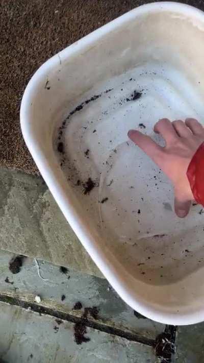 Finally, my time has come.