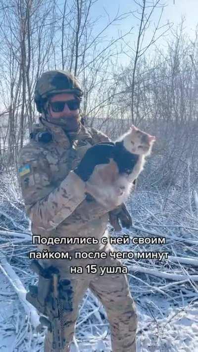 Ukrainian soldiers shared their rations with this cat, she left for 15mn and came back with a mouse as a thank you