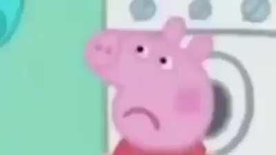 La mera demencia!!!🤙🏻🤑