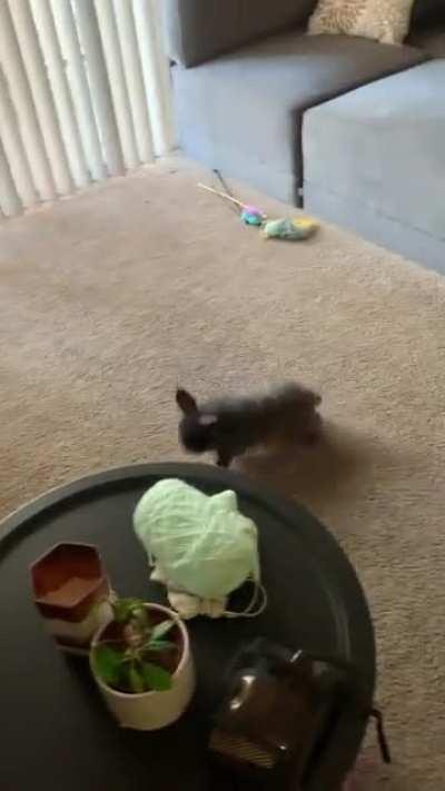 Master of optical illusions